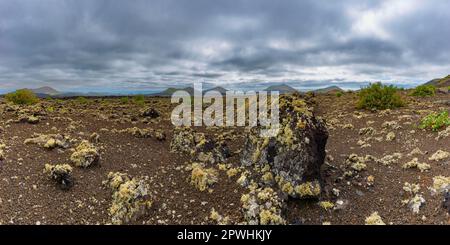 Campo di lava coperto di licheni, Parque Natural de Los Volcanes, vicino a Masdache, Lanzarote, Isole Canarie, Spagna Foto Stock