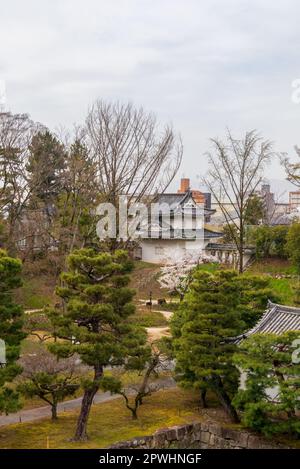 Kyoto, Giappone - 25 marzo 2023: Splendido giardino e Castello Nijo a Kyoto, Giappone Foto Stock