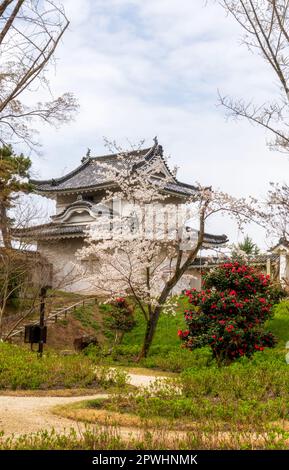 Kyoto, Giappone - 25 marzo 2023: Splendido giardino e Castello Nijo a Kyoto, Giappone Foto Stock