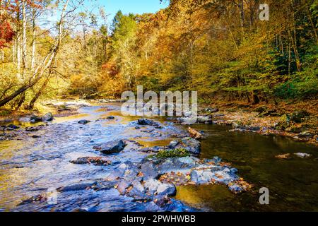 Vista panoramica del Big Laurel Creek nel North Carolina in autunno Foto Stock