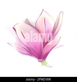 Acquerello Magnolia, fiore di primavera su sfondo bianco, clipart floreale, isolato. Foto Stock