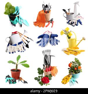 Set con diversi attrezzi da giardinaggio e guanti luminosi su sfondo bianco Foto Stock
