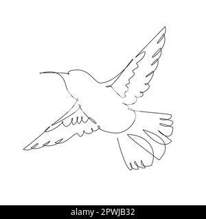 Disegno continuo di una linea di colibrì volanti. Illustrazione vettoriale. Illustrazione Vettoriale