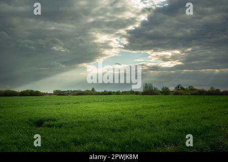 Un buco tra le nuvole e il sole che illumina un prato verde, Nowiny, Polonia Foto Stock