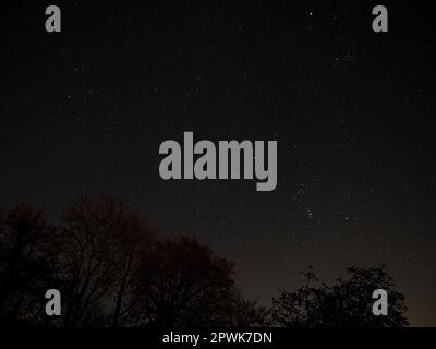 Cielo notturno invernale sul Sussex, con costellazioni Orione, Gemelli, Lupo e Toro e alberi dalle sagome. Foto Stock