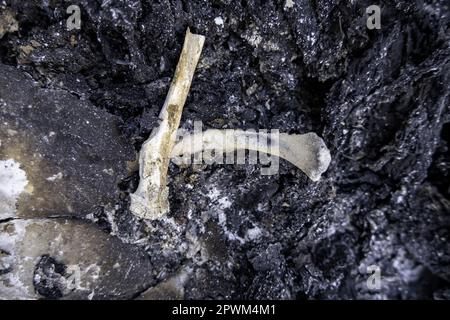 Particolare del vecchio crematorio con resti di ossa umane, cimitero Foto Stock