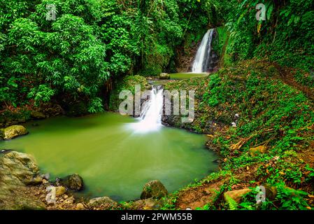 Una vista delle cascate di Seven Sisters nella giungla su Grenada Foto Stock