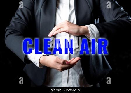 Didascalia concettuale Clean Air, Panoramica aziendale aria che non contiene livelli dannosi di sporco e sostanze chimiche Foto Stock