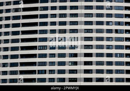 Sfondo geometrico con molte righe di finestra. Alto edificio dal design semplice e classico. Concetto realistico di edificio per uffici. Casa appartamento texture b Foto Stock