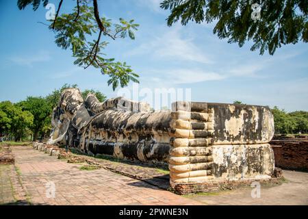 Il buddha sdraiato al Wat Lokayasutharam nella città Ayutthaya nella provincia di Ayutthaya in Thailandia, Thailandia, Ayutthaya, novembre 2022 Foto Stock