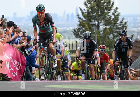 Assia, Königstein-Mammolshain, Germania. 01 maggio 2023. Ciclismo: UCI WorldTour - Eschborn-Francoforte, (203,80 km), uomini. Il pelotone con Emanuel Buchmann (l) del Team Bora-hansgrohe e John Degenkolb (M) del Team DSM sale sul Mammolshainer Stich. Foto: Arne Dedert/dpa Foto Stock