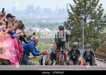 Assia, Königstein-Mammolshain, Germania. 01 maggio 2023. Ciclismo: UCI WorldTour - Eschborn-Francoforte, (203,80 km), uomini. Il pelotone con Emanuel Buchmann (l) del Team Bora-hansgrohe e John Degenkolb (M) del Team DSM sale sul Mammolshainer Stich. Foto: Arne Dedert/dpa Foto Stock