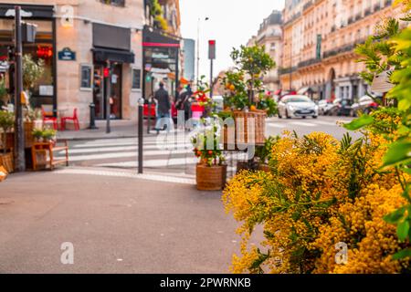 Vista generale della strada da Parigi, la capitale francese. Tipica architettura francese e vista urbana. Foto Stock