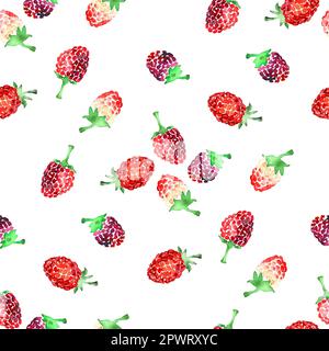 Acquerello con motivo lampone estivo su sfondo bianco. Foto Stock