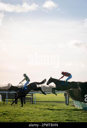 Cavalli a metà corsa all'ippodromo di Wincanton nel Somerset Foto Stock