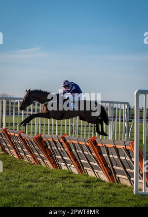 Cavalli a metà corsa all'ippodromo di Wincanton nel Somerset Foto Stock