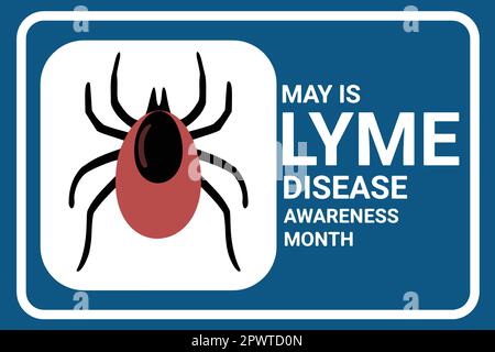 Maggio è mese di consapevolezza della malattia di Lyme. banner web illustrativo per social media, poster, biglietti, volantini. Text National May è il mese della consapevolezza della malattia di Lyme Illustrazione Vettoriale