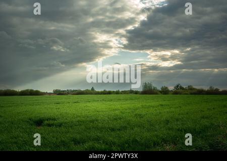 Un buco tra le nuvole e il sole che illumina un prato verde, Nowiny, Polonia Foto Stock