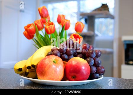 su piatto bianco mele uva e banane tulipani rossi luminosi con bordo giallo primo piano sullo sfondo un gatto su un gatto e un albero vicino alla finestra cucina colazione Foto Stock