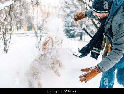 Lotta con le palle di neve e divertimento con il pet e il suo proprietario nella neve. Vacanze inverno emozione. Carino pozza cane e uomo di giocare e in esecuzione nella foresta. Filtro della pellicola Foto Stock