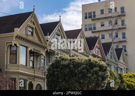Una foto delle Painted Ladies di San Francisco. Foto Stock