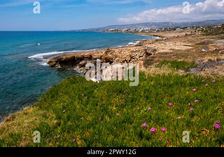 Vista della costa rocciosa a Chloraka, Paphos, Cipro Foto Stock