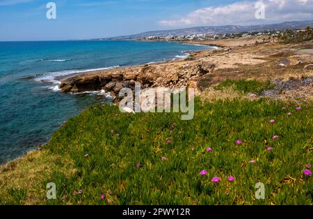 Vista della costa rocciosa a Chloraka, Paphos, Cipro Foto Stock