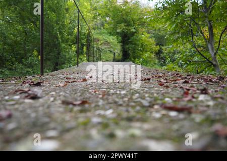 Banja Koviljacha, Serbia, Loznica, Monte Guchevo. Un vecchio e stretto ponte in cemento che attraversa un fiume di montagna con una recinzione metallica. Ispessimenti di cespugli, edera, v Foto Stock