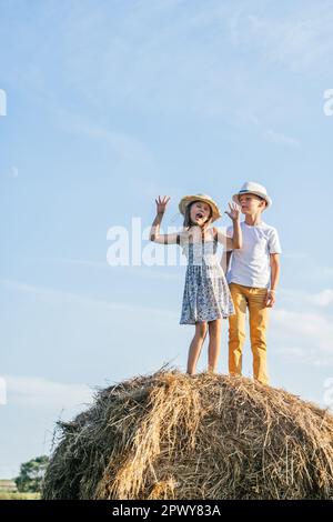 Ritratto verticale di bambini ragazzo e ragazza che rimangono e abbracciano, mettendo la lingua fuori, cantando canzoni, giocando la scimmia su haystack in campo. Luce soleggiato d Foto Stock