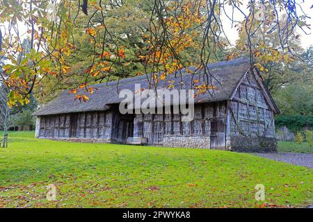 Stryd Lydan cruck e fienile con struttura in legno, 1550 circa. Museo nazionale di storia di St Fagans. Amgueddfa Werin Cymru. Preso il 2023. Foto Stock