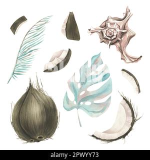 Noci di cocco intere e fette con foglie di palma tropicale e conchiglie. Illustrazione acquerello. Impostare gli elementi isolati su uno sfondo bianco. Per Foto Stock