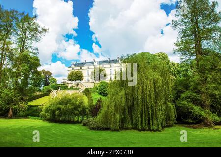 Alberi di bambù anf piangendo salice nel giardino giapponese di Maulivrier e Colbert Castle (palazzo) in Maulevrier e nuvole di timore nel cielo Foto Stock