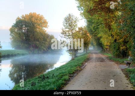 Il corso del fiume Nidda al mattino con nebbia e un sentiero in riva sollevata Foto Stock