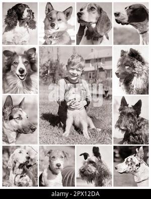 1930S MONTAGE DI RAZZA POPOLARE DEL CANE CON IL RAGAZZO CHE GUARDA LA MACCHINA FOTOGRAFICA E IL SUO MIGLIORE AMICO IN CENTRO - M3375 HAR001 HARS TERRIER MAMMIFERI BEAGLE HIS E CANINE HOUND POOCH RETRIEVER RAZZA RAZZE AMICHEVOLI CANINE MUTT TEDESCO SHEPHERD CACCIA CANI GIOVANI MAMMAL PUP SCOTTIE BIANCO E NERO ETNICITÀ CAUCASICA GRANDE DANE HAR001 VECCHIO STILE Foto Stock