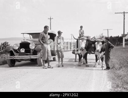 1930S COPPIA TURISTICA UOMO E DONNA SMISE DI STARE IN PIEDI SULLA STRADA GUARDANDO DUE RAGAZZI CON CARRO AGRICOLO TRAINATO DA DUE BUOI QUEBEC CANADA - M3706 HAR001 HARS 1 CARRO GIOVANE CANADA LAVORO DI SQUADRA VACANZA LIFESTYLE FEMMINE SPOSATO FRATELLI CONIUGE RURALE MARITI COPIA SPAZIO FULL-LENGTH SIGNORE PERSONE AGRICOLTURA MASCHI FRATELLI TRASPORTO AGRICOLTURA B&W PARTNER TEMPO OFF GRANDANGOLO SCOPERTA FORZA VIAGGIO GIOGO E. FUGA AGRICOLTORI RICREAZIONE TURISTICO COME VACANZE OXEN FRATELLO QUÉBEC UTILIZZATO BOVINO CONCETTUALE TURISMO MACCHINA BOZZA TIRATO GIOVENCO GIOVANI METÀ ADULTO UOMO MEDIO-ADULTO DONNA METÀ-ADULTO OX HA INTERROTTO LE VACANZE Foto Stock