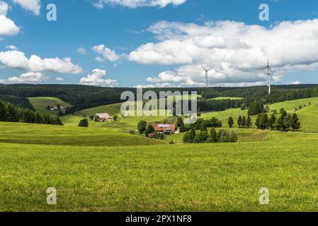 Paesaggio collinare nella Foresta Nera con prati e case coloniche solitarie, turbine eoliche su verdi colline circondate dalla foresta di abeti, St Peter, Baden-Wuerttembe Foto Stock