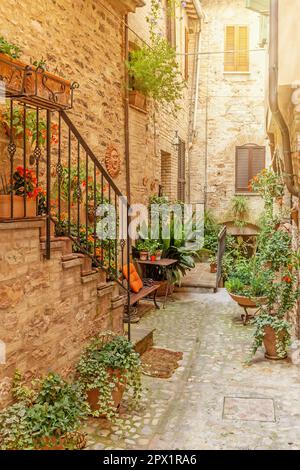 Vista sulle case in pietra italiane nel paese di Spello. Umbria. Italia. Umbria. Italia Foto Stock