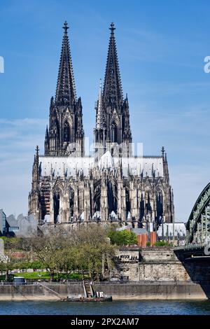 Cattedrale di Colonia sulle rive del Reno, nel centro storico di Colonia Foto Stock