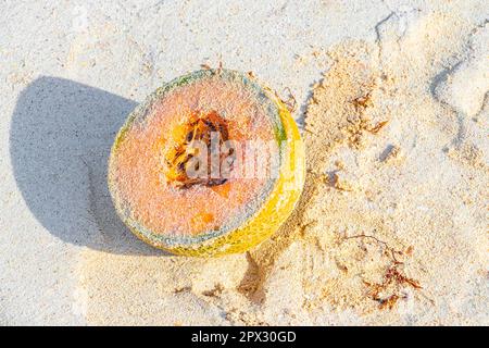 Melone di melone pieno di sabbia sulla spiaggia di Playa del Carmen Quintana Roo Messico. Foto Stock