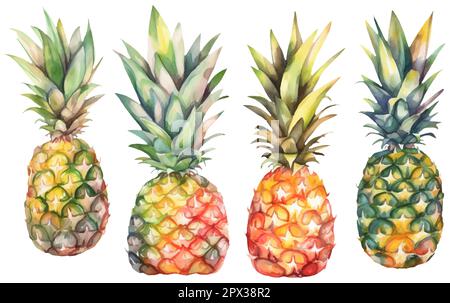 impostare l'illustrazione vettoriale a colori dell'ananas maturo isolato su sfondo bianco Illustrazione Vettoriale