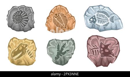 Scavo fossile archeologico set Illustrazione Vettoriale