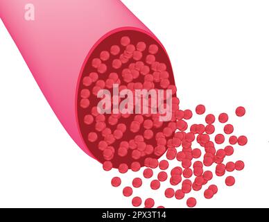 Flusso sanguigno Illustrazione Vettoriale