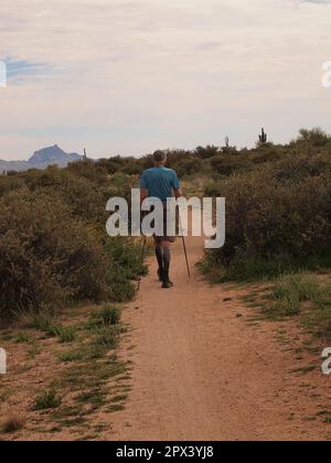 Ciclisti ed escursionisti lungo un sentiero al McDowell Mountain Regional Park fuori da Fountain Hills, Arizona. Numerosi sentieri sono disponibili per l'uso. Foto Stock