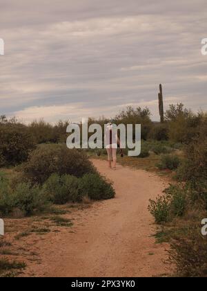 Ciclisti ed escursionisti lungo un sentiero al McDowell Mountain Regional Park fuori da Fountain Hills, Arizona. Numerosi sentieri sono disponibili per l'uso. Foto Stock