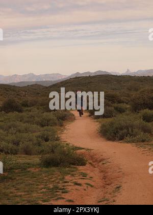 Ciclisti ed escursionisti lungo un sentiero al McDowell Mountain Regional Park fuori da Fountain Hills, Arizona. Numerosi sentieri sono disponibili per l'uso. Foto Stock