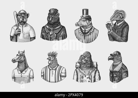 Astronauta di scimmia Gorilla. Pilota di aviatore di aquila Gallo Dinosaur Pig Tiger Bear Sheep Buffalo Bull Horse Cheetah. Cane bulldog baseball giocatore di tennis Illustrazione Vettoriale