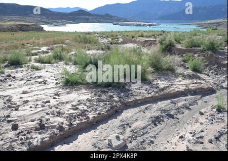 Condizioni di siccità a Callville Bay al Lago Mead in Nevada. Foto Stock