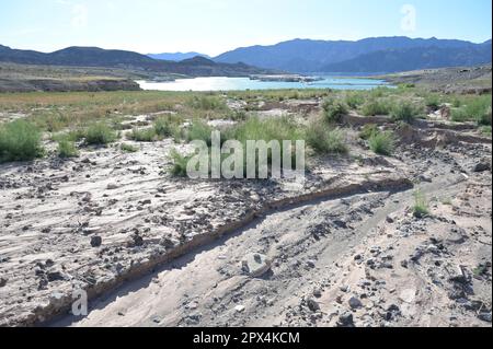 Condizioni di siccità a Callville Bay al Lago Mead in Nevada. Foto Stock