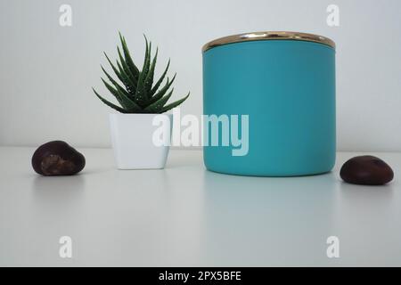 Una composizione di un vasetto di sali da bagno, un fiore artificiale per interno di aloe o Kalanchoe, e diversi frutti di castagno. Ancora vita di elementi di arredamento per un l Foto Stock