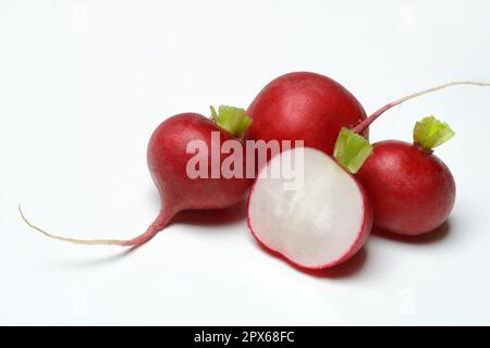 Rafano (Raphanus sativus var. sativus), taglio aperto Foto Stock